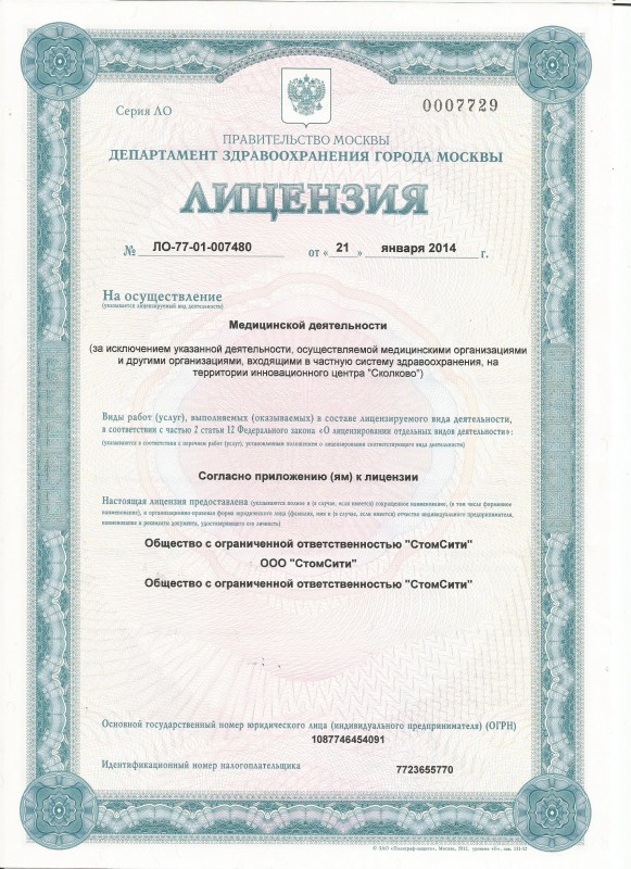 Моисеева Анна Валерьевна 4